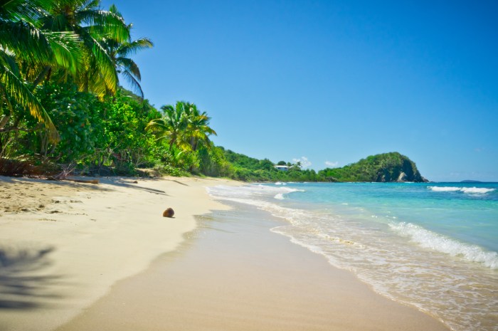 Island beach caribbean beaches islands bay tortola cane shutterstock garden british virgin guide resort insider