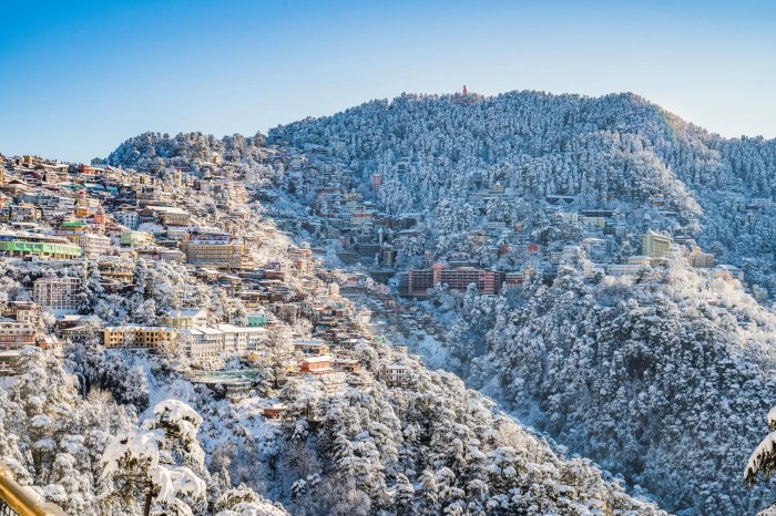 Transat christmas vacation packages