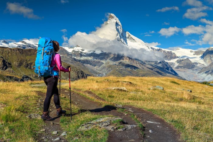 Alps switzerland monch