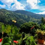 Lodges rica arenal observatory rican fodors hdr