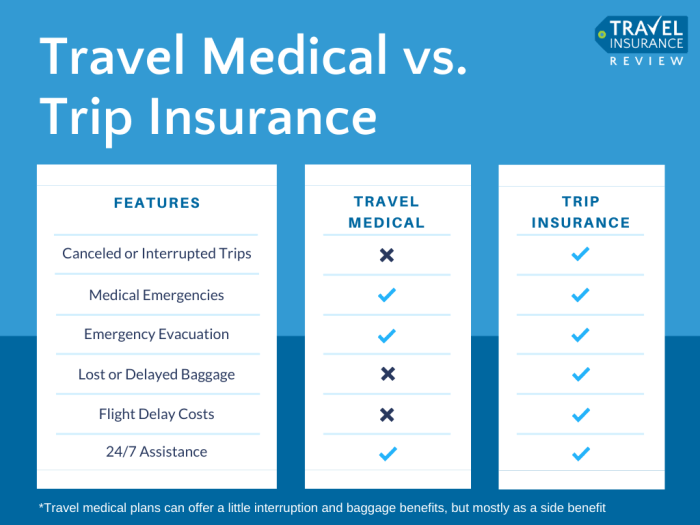 Insurance travel trip